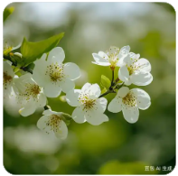 加载动画 环形旋转